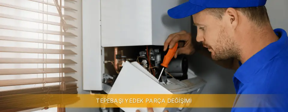 Tepebaşı İlçemi Viessmann Yedek Parça Değişimi